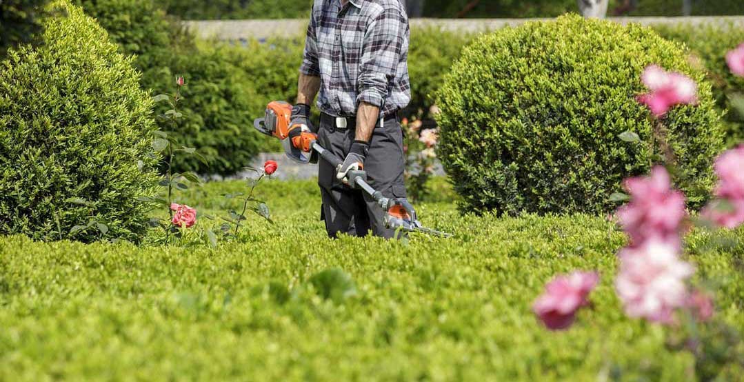 servicios de jardineria en asturias